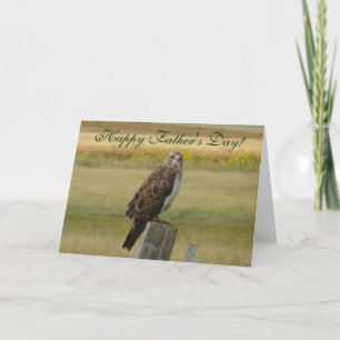 B33 Swainson's Hawk Card