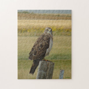 B33 Swainson's Hawk Jigsaw Puzzle