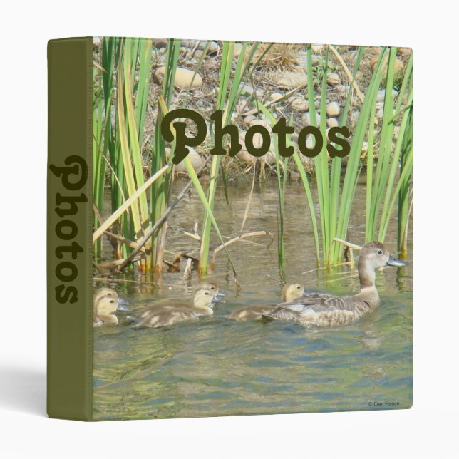 B34 Mother Duck and Ducklings Binder (Front/Spine)