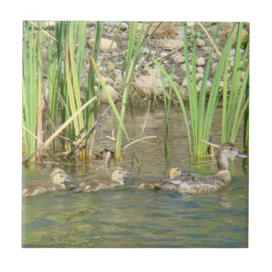 B34 Mother Duck and Ducklings Tile