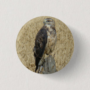 B36 Ferruginous Hawk in Wheat Field 1 Inch Round Button