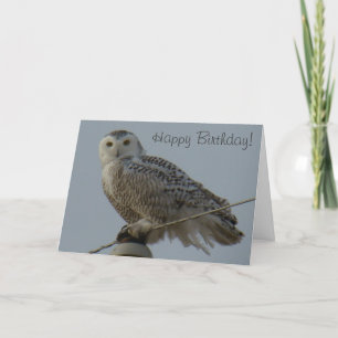 B38 Snowy Owl Card