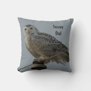 B38 Snowy Owl Throw Pillow