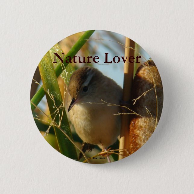 B3 Marsh Wren 2 Inch Round Button (Front)