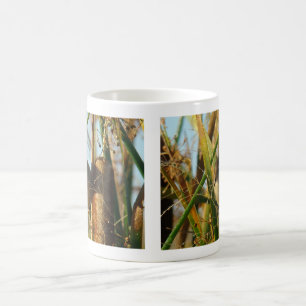 B3 Marsh Wren Coffee Mug