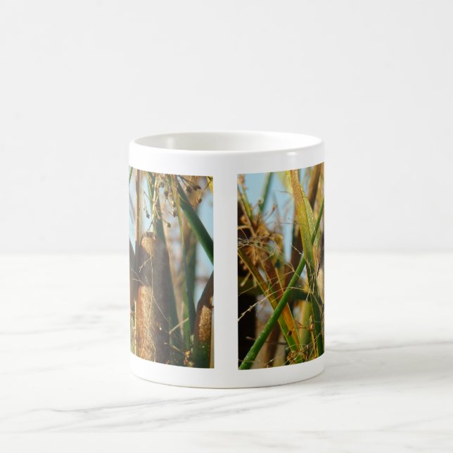 B3 Marsh Wren Coffee Mug (Center)