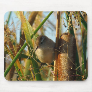 B3 Marsh Wren Mouse Pad
