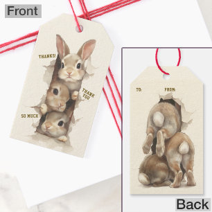 B3 Three Bunnies 3D Illusion Gift Tags