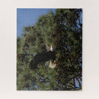 B3BB, papa Berry puzzle puzzle