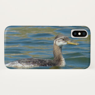 B40 Juvenile Red Throated Grebe Case-Mate iPhone Case