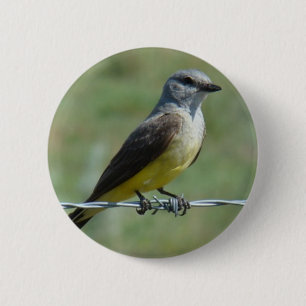 B44 Western Kingbird 2 Inch Round Button