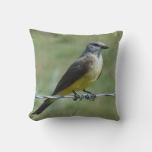 B44 Western Kingbird