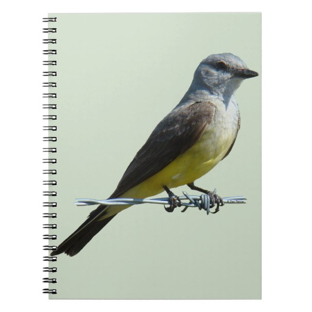B45 Western Kingbird Notebook (Front)