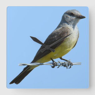 B45 Western Kingbird Square Wall Clock