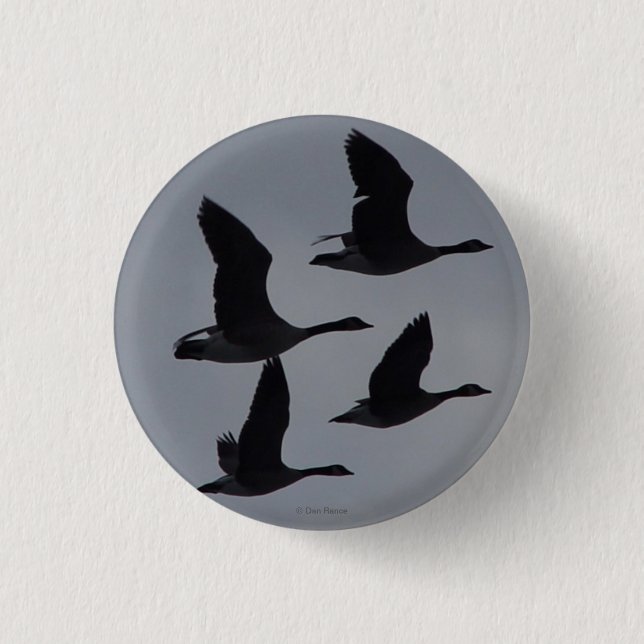 B46 Canadian Geese in Flight 1 Inch Round Button (Front)