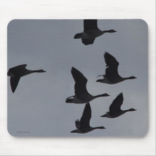B46 Canadian Geese in Flight Mouse Pad