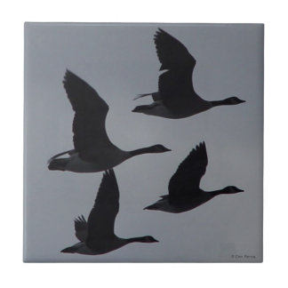 B46 Canadian Geese in Flight Tile