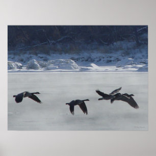 B48 Canadian Geese Over Frozen River Poster