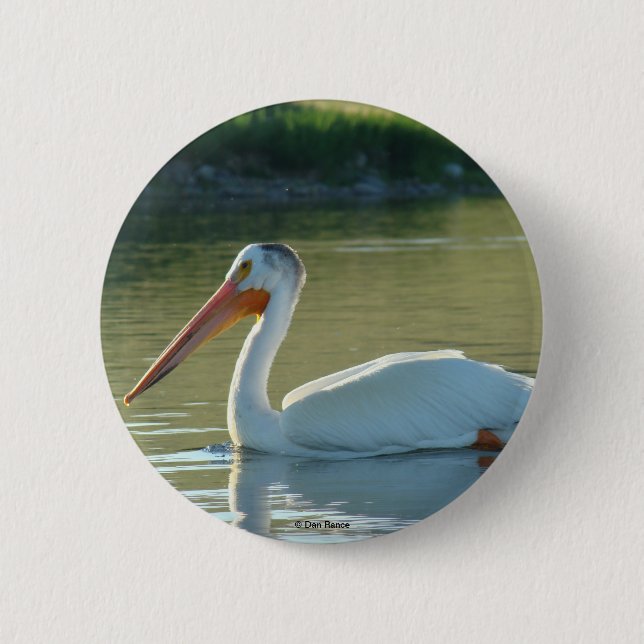 B4 White Pelican 2 Inch Round Button (Front)