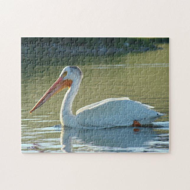 B4 White Pelican Jigsaw Puzzle (Horizontal)