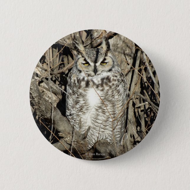 B51 Great Horned Owl 2 Inch Round Button (Front)