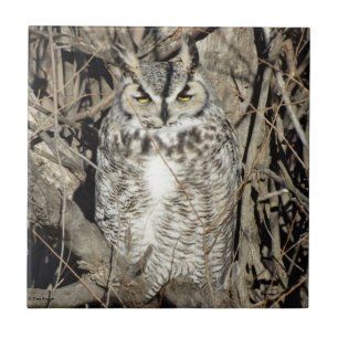 B51 Great Horned Owl Tile