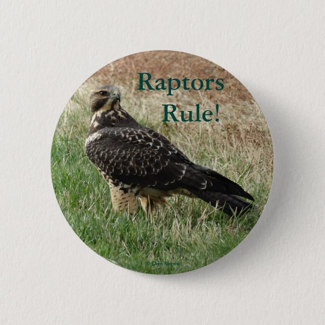 B52 Swainson's Hawk 2 Inch Round Button (Front)