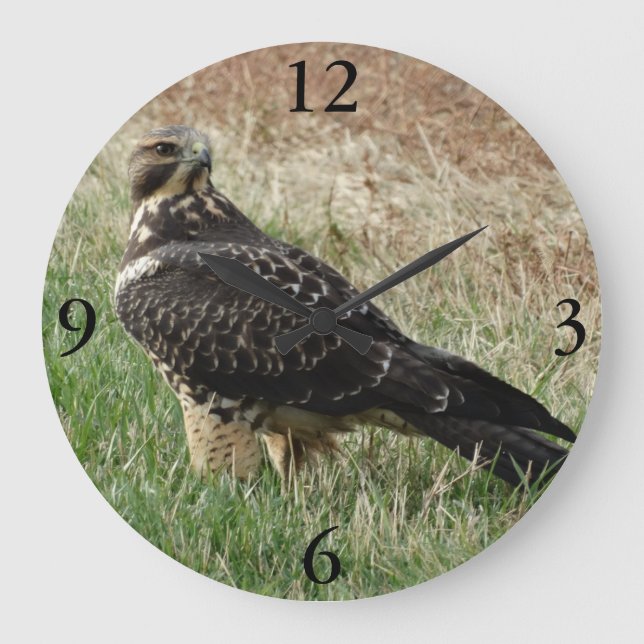 B52 Swainson's Hawk Large Clock (Front)