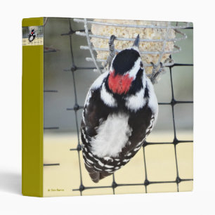 B53 Downy Woodpecker Binder