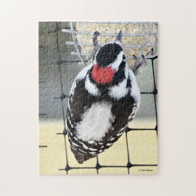 B53 Downy Woodpecker Jigsaw Puzzle (Vertical)
