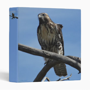 B54 Swainsons Hawk Binder
