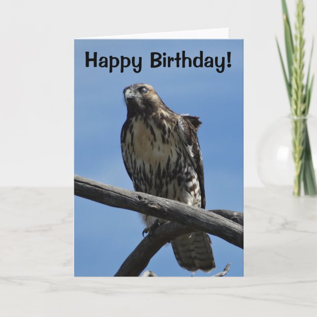 B54 Swainson's Hawk Card (Front)