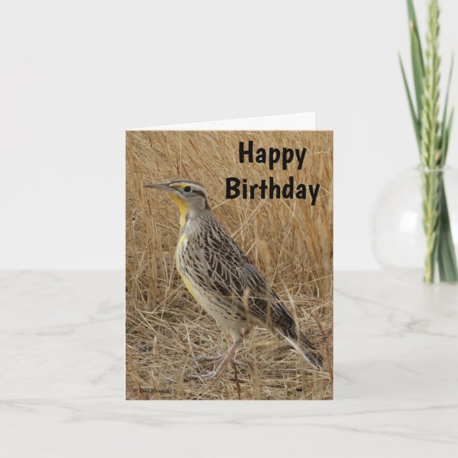 B57 Western Meadowlark Holiday Card (Front)