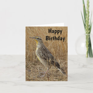 B57 Western Meadowlark Holiday Card