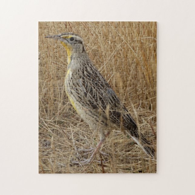 B57 Western Meadowlark Jigsaw Puzzle (Vertical)