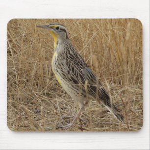 B57 Western Meadowlark Mouse Pad