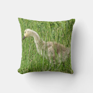 B58 Canada Goose Gosling in the Grass Throw Pillow