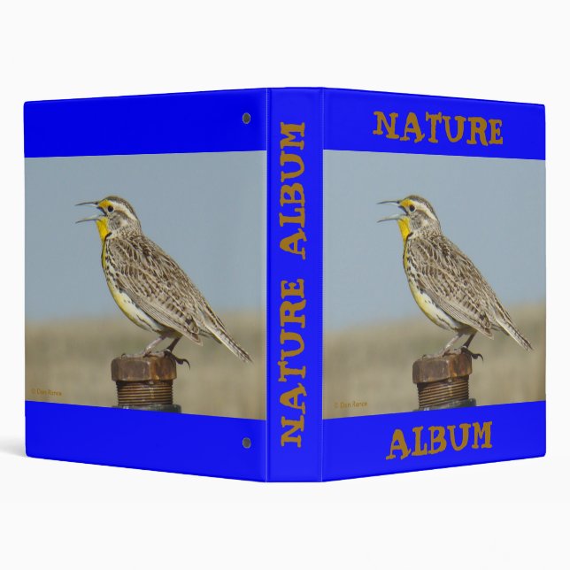 B6 Western Meadow Lark Binder (Background)
