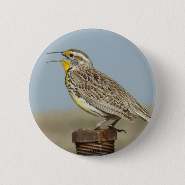 B6 Western Meadowlark 2 Inch Round Button (Front)