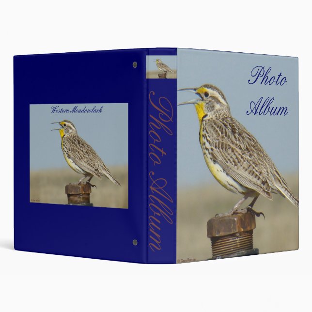 B6 Western Meadowlark Binder (Background)
