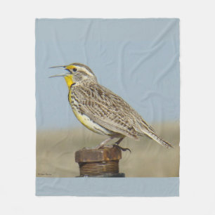 B6 Western Meadowlark Fleece Blanket