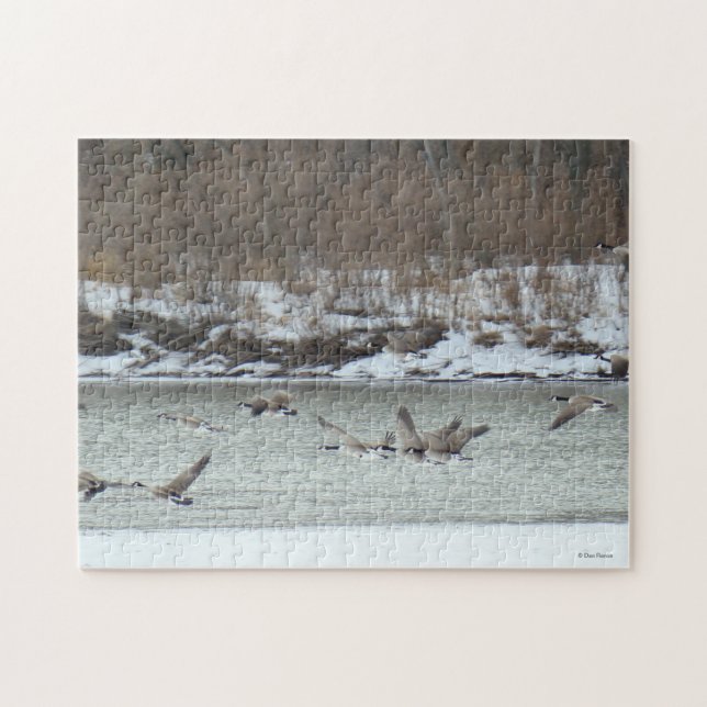 B7 Canadian Geese in Flight Jigsaw Puzzle (Horizontal)