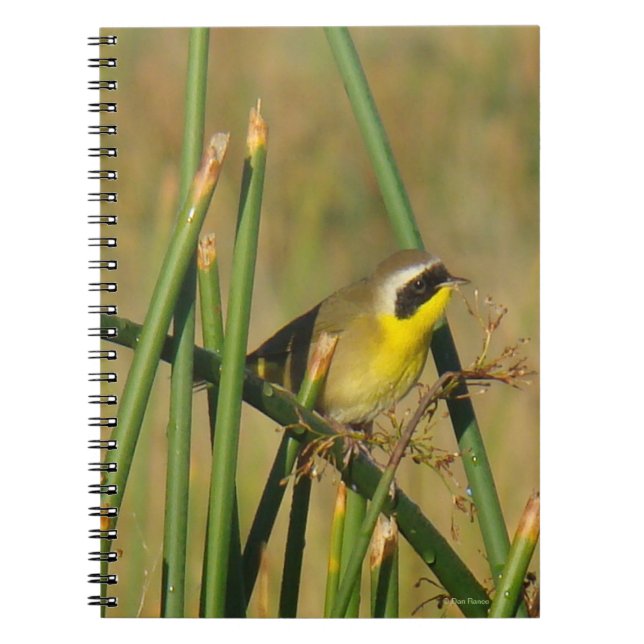 B9 Common Yellowthroat Notebook (Front)