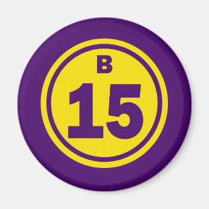 B-15 BINGO BALL MAGNET