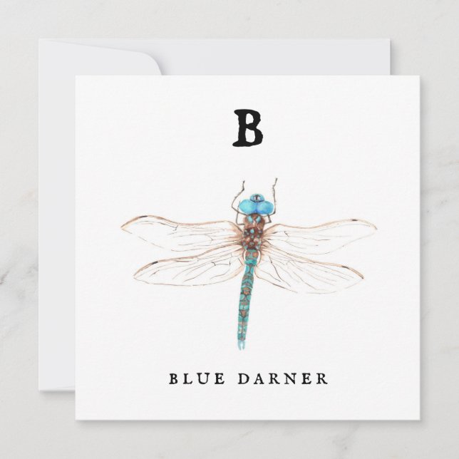 "B" Blue Darner  (Front)