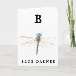 "B" Blue Darner  Card