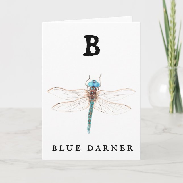 "B" Blue Darner  Card (Front)