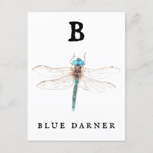 "B" Blue Darner   Postcard