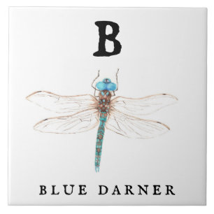 "B" Blue Darner Tile