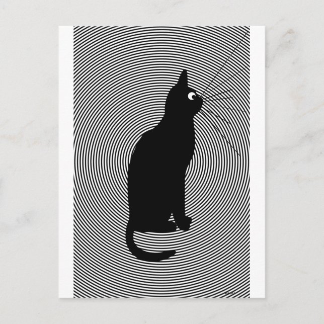 B cat postcard (Front)